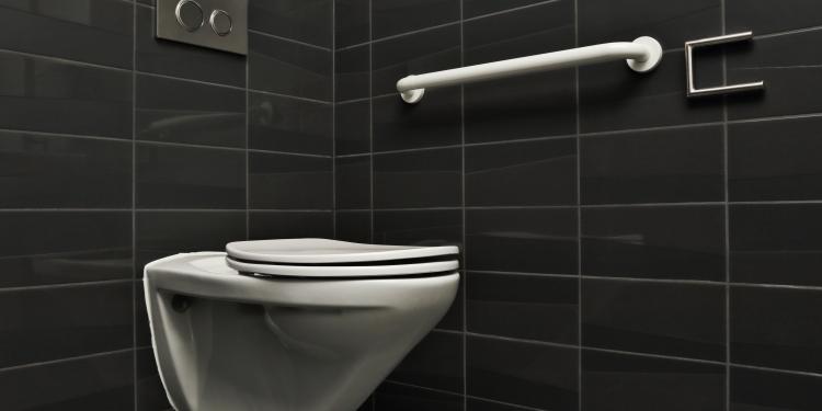 barre de maintien wc senior
