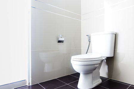 Douchette WC