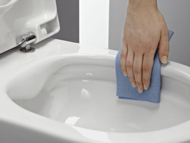 rimless WC sans bride