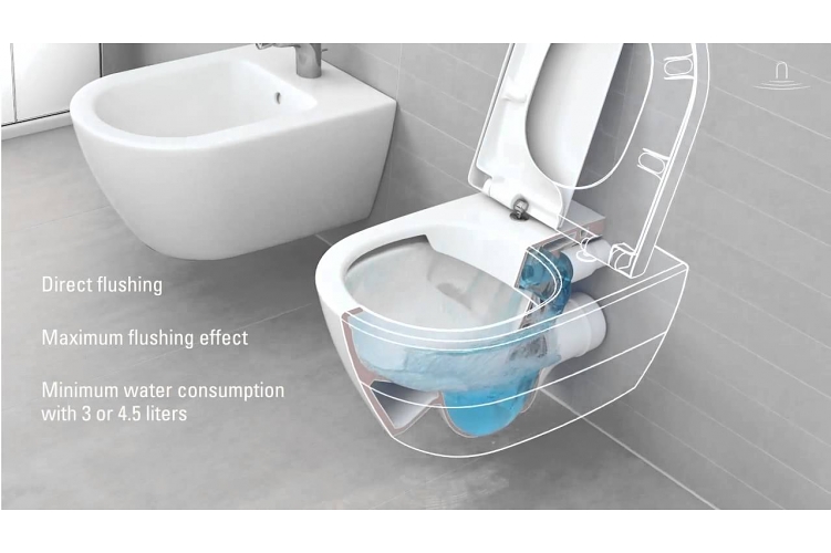 Villeroy-Boch-Direct-Flush